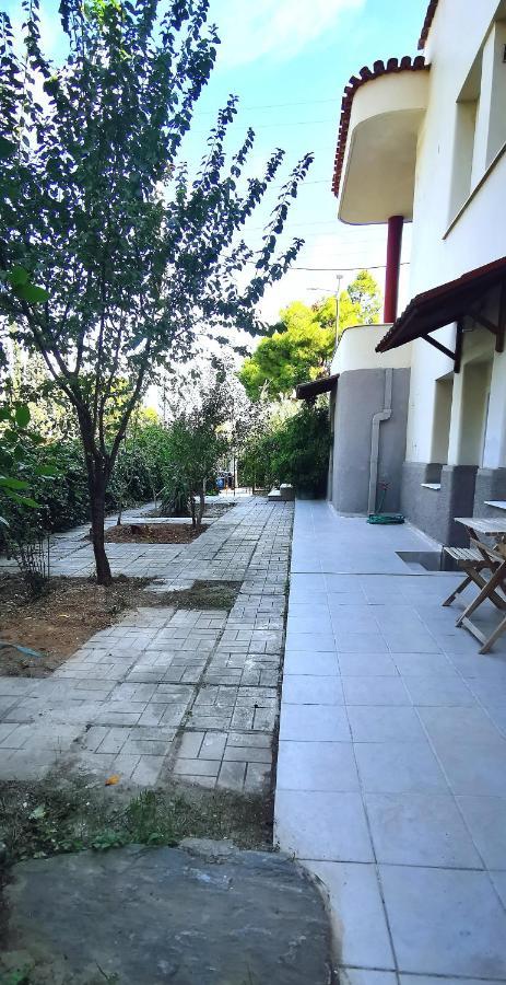 Amazon Spacious 3Bedroom Premium Neighbourhood Athènes Extérieur photo